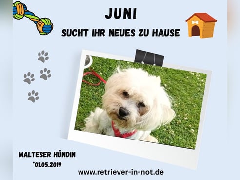 Inseratsbild