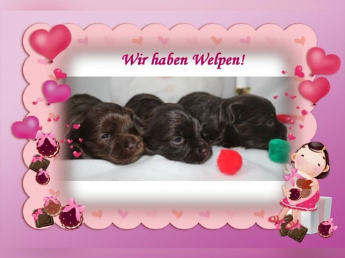 Inseratsbild
