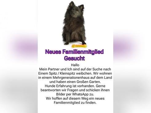Inseratsbild