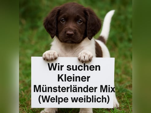 Inseratsbild
