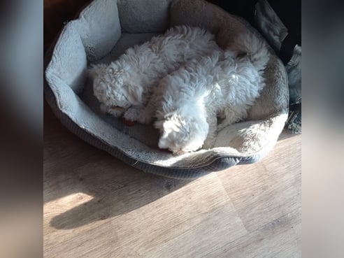 Inseratsbild