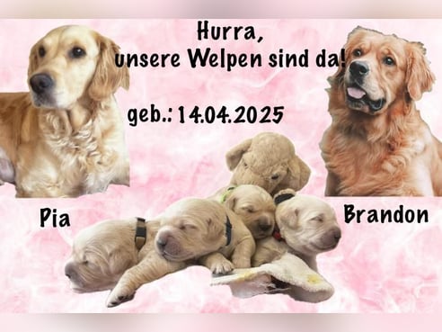 Inseratsbild