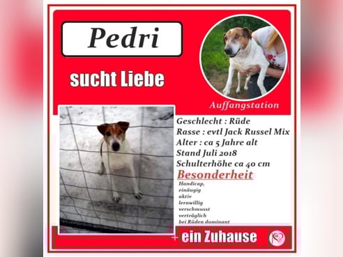 Inseratsbild