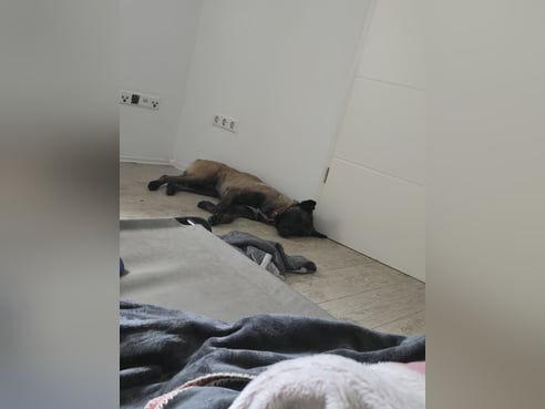 Inseratsbild