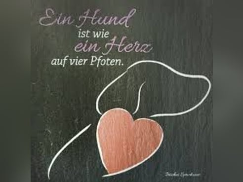 Inseratsbild