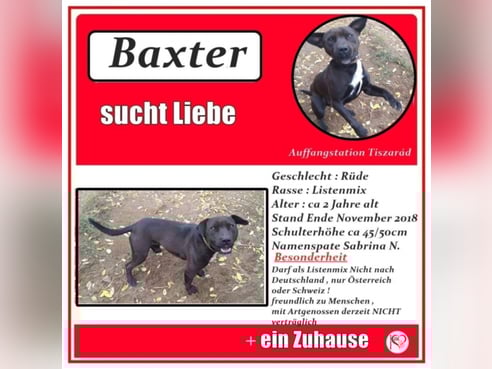 Inseratsbild
