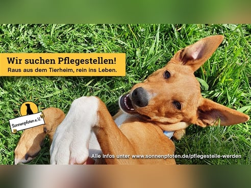 Inseratsbild