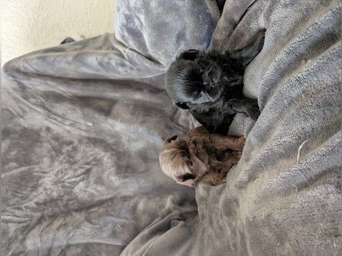 Inseratsbild