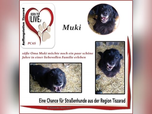 Inseratsbild