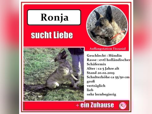 Inseratsbild