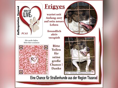 Inseratsbild