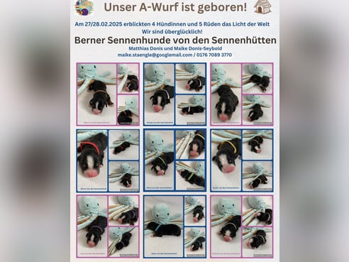 Inseratsbild