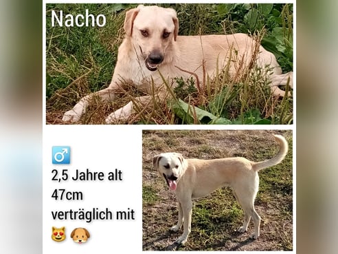 Inseratsbild
