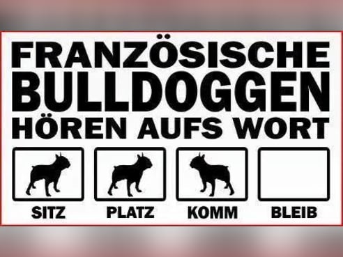 Inseratsbild