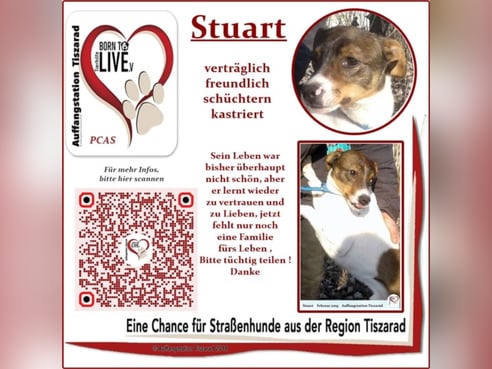 Inseratsbild
