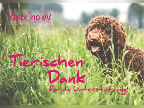 Inseratsbild