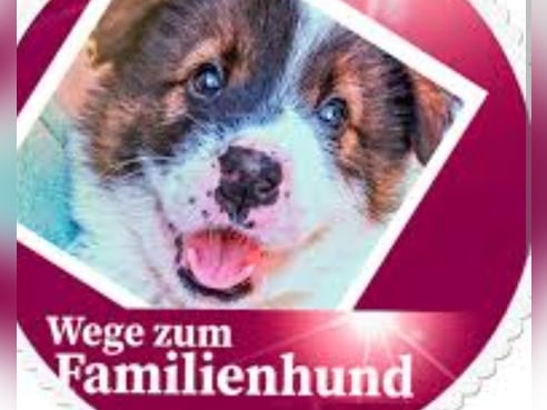 Inseratsbild