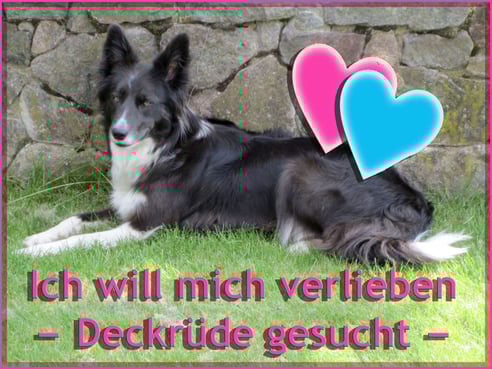 Inseratsbild