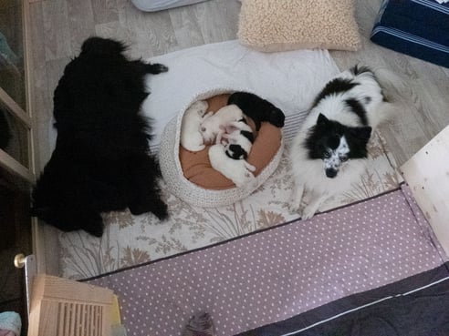 Inseratsbild