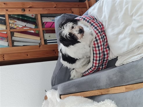 Inseratsbild