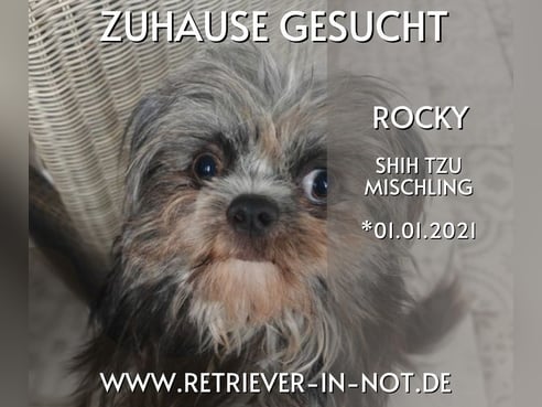 Inseratsbild