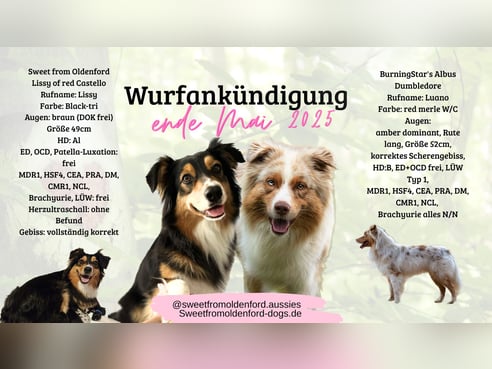 Inseratsbild