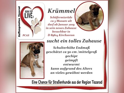 Inseratsbild