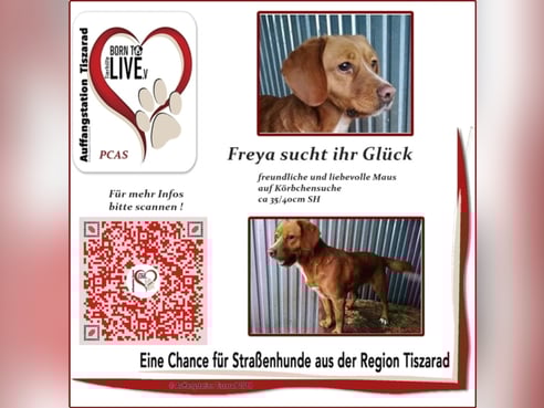 Inseratsbild