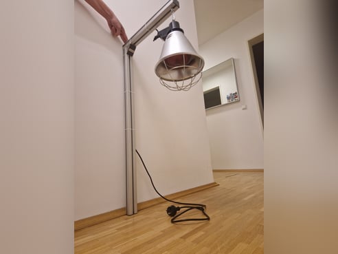 Inseratsbild