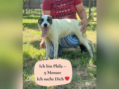 Inseratsbild