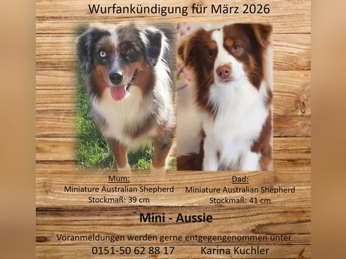 Inseratsbild