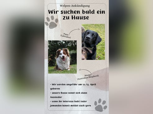 Inseratsbild