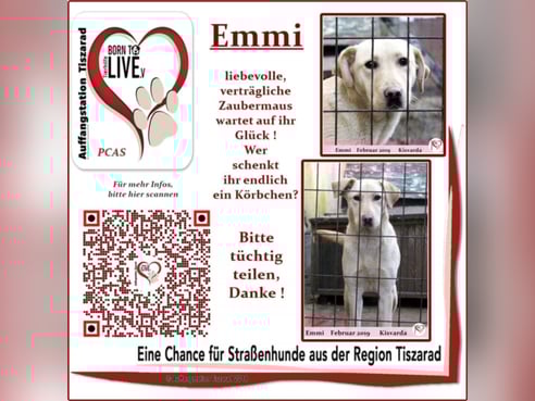 Inseratsbild