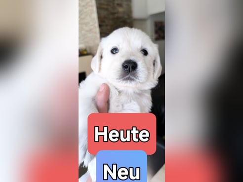 Inseratsbild