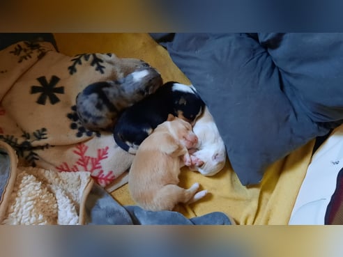Inseratsbild