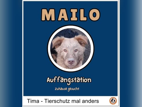 Inseratsbild