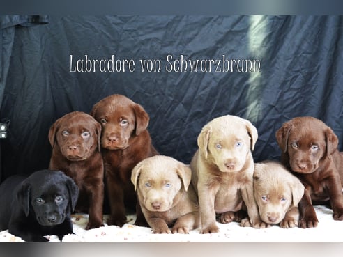 Inseratsbild