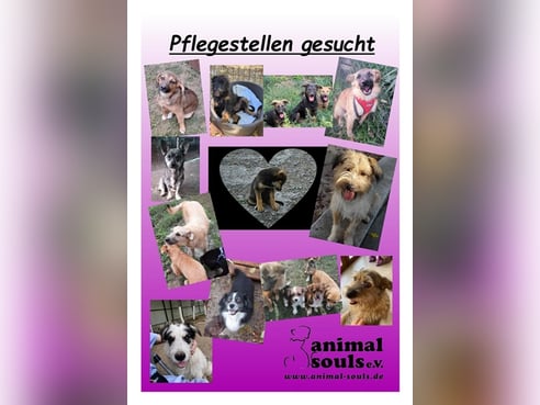 Inseratsbild