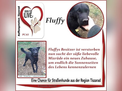 Inseratsbild