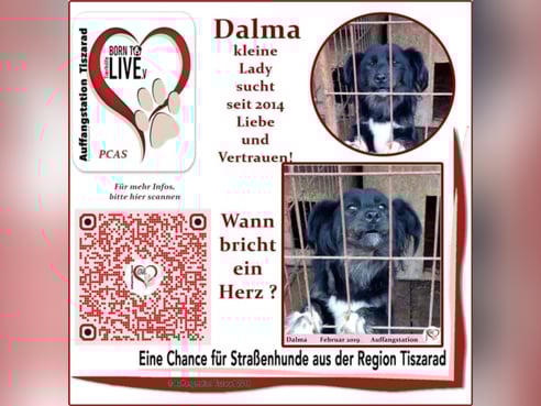 Inseratsbild