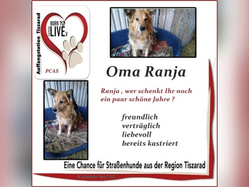 Inseratsbild