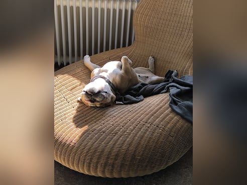 Inseratsbild