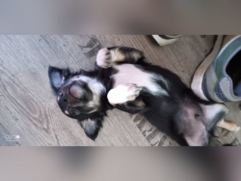 Inseratsbild