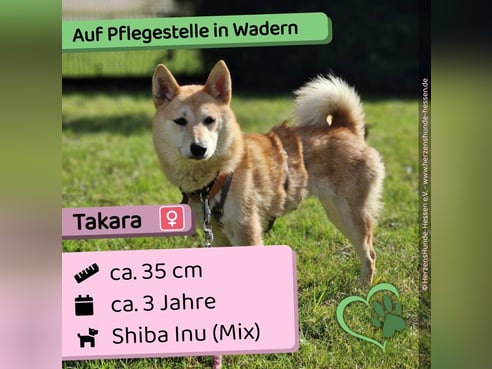 Inseratsbild