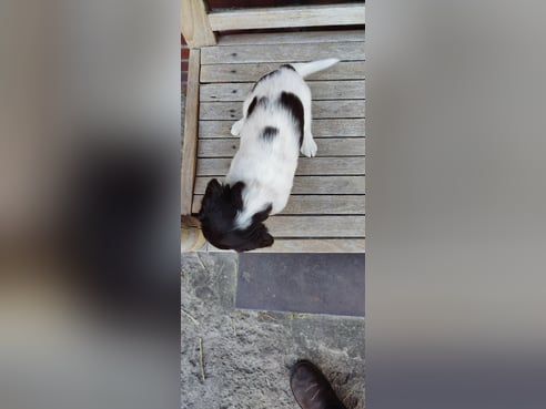 Inseratsbild