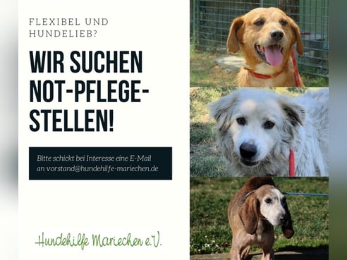 Inseratsbild