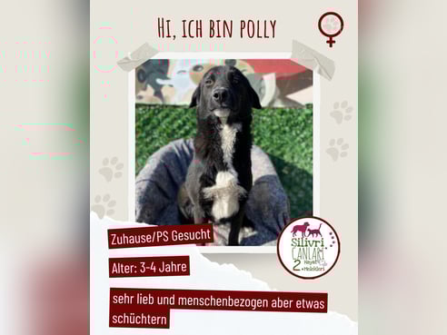 Inseratsbild