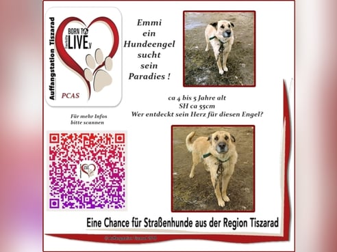 Inseratsbild