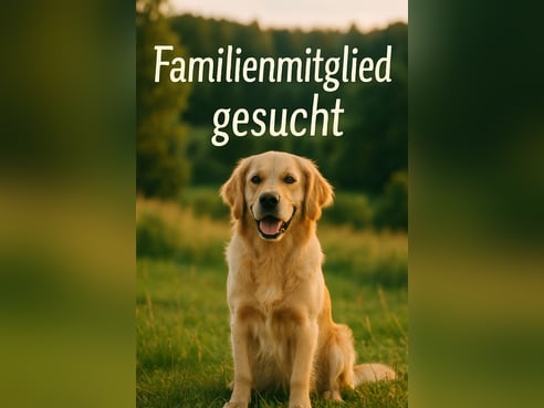 Inseratsbild