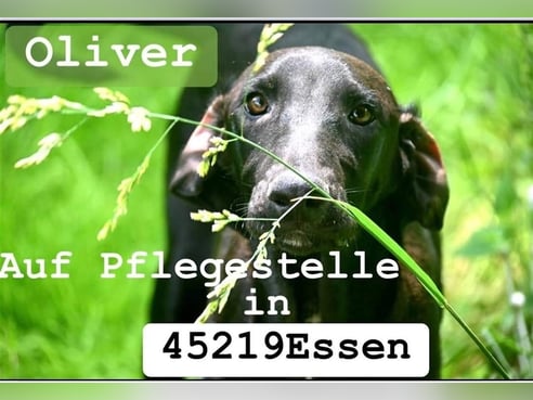 Inseratsbild
